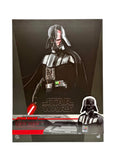 Hot Toys Darth Vader DX28 Deluxe Version